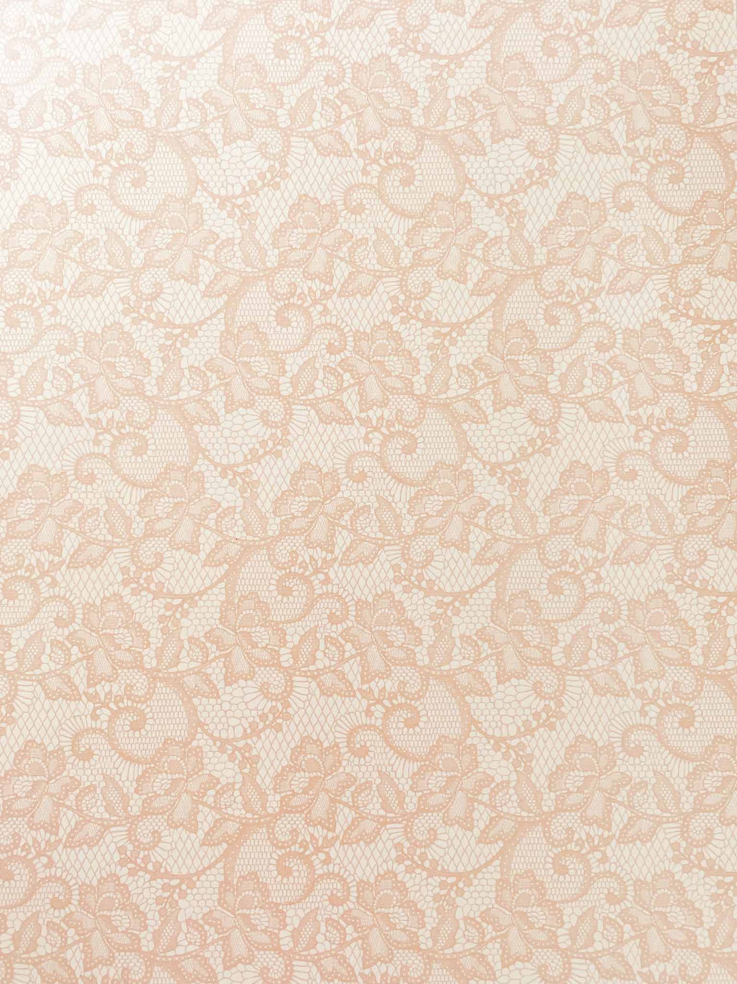 Margot Lace Paper Nude Blush
