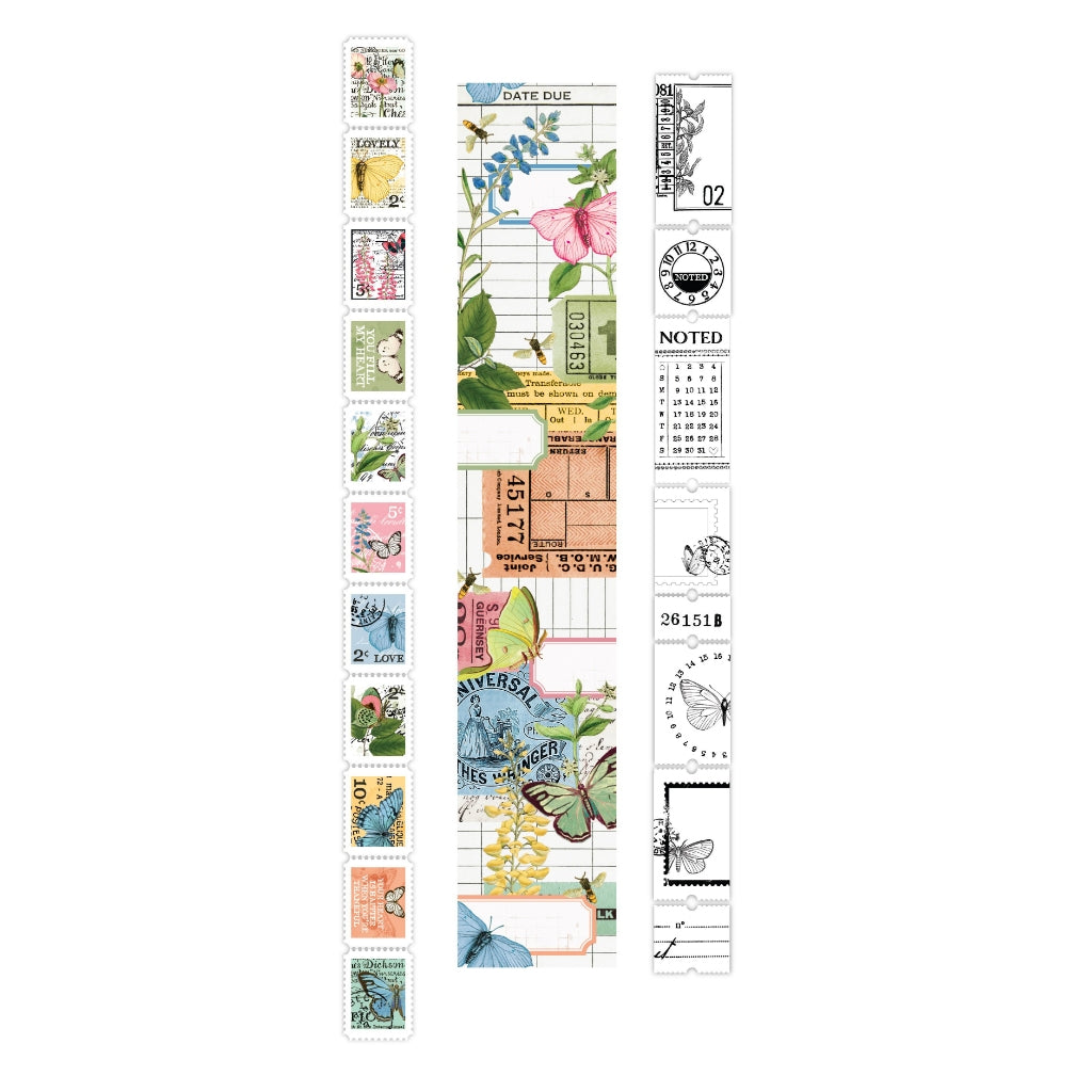 Arden Creative Studio Field Notes Ephemera Rolls