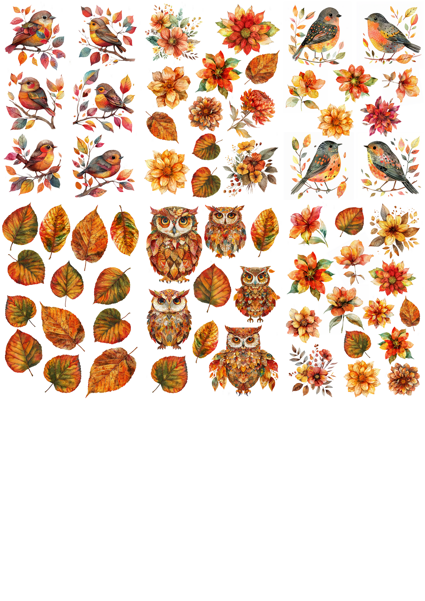 Autumn Glow Digital Download
