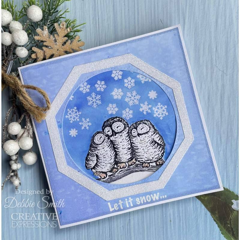 Designer Boutique Snowy Owls 4 in x 6 in Stamp Set