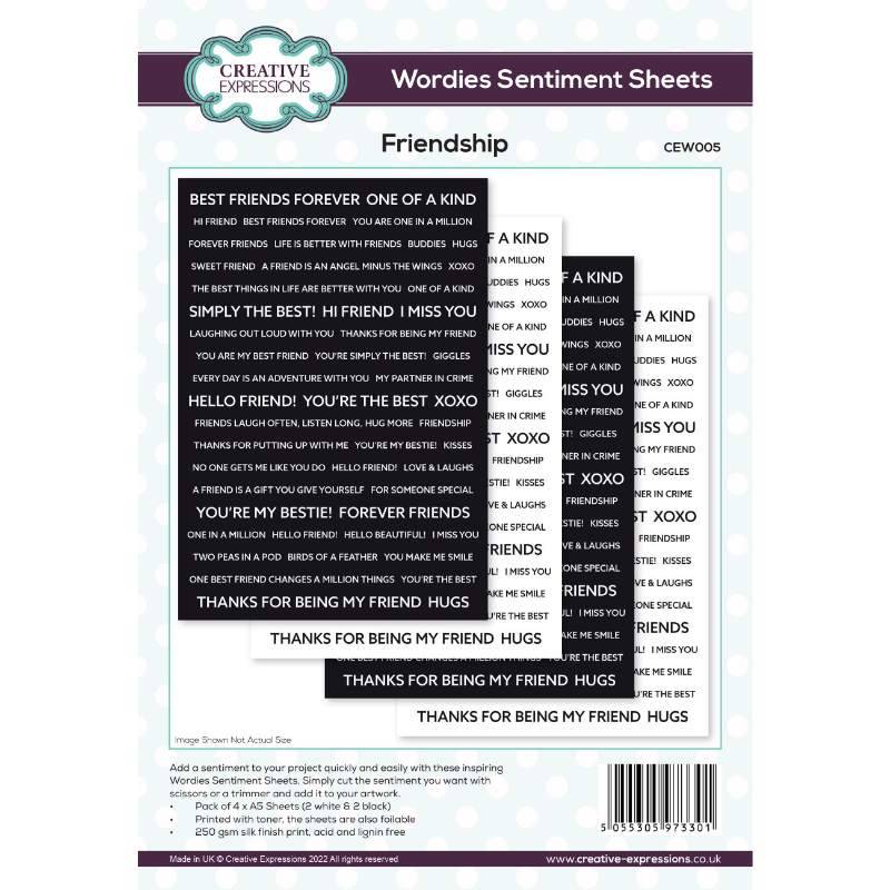 Wordies Sentiment Sheets – Friendship Pk 4