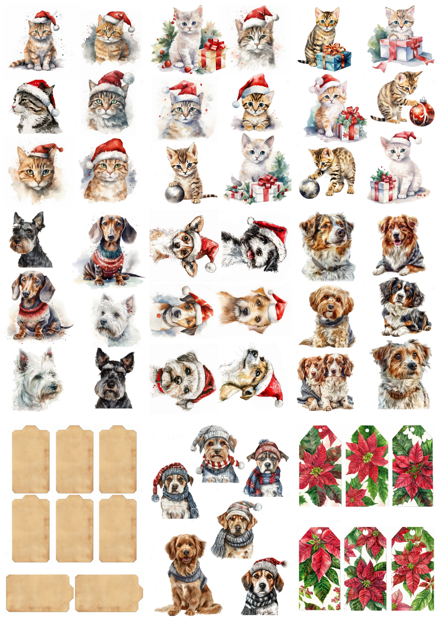 Not Just for Christmas A4
