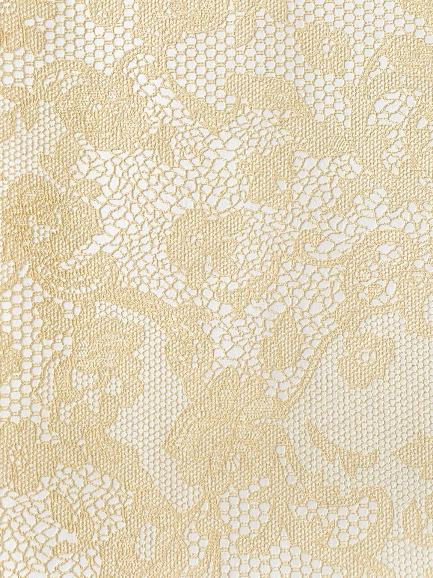 Chantilly Embossed Paper in Cream on White