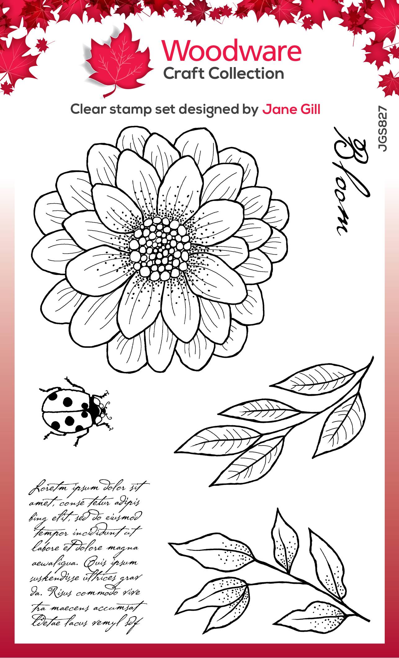 Ditsy Daisy 4 in x 6 in Stamp Clear Singles