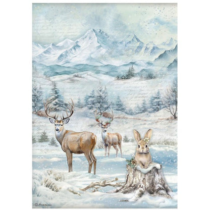 Stamperia Selection 6 Rice paper A4 - The Owl's House