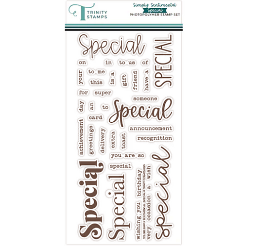 Simply Sentimental - Special 4x8 Stamp Set