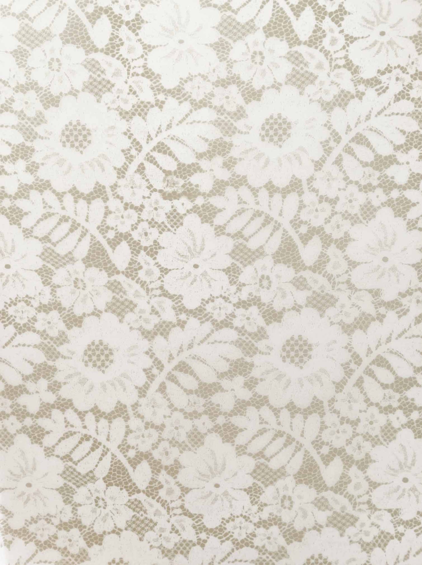 Chantilly Lace Vellum Paper